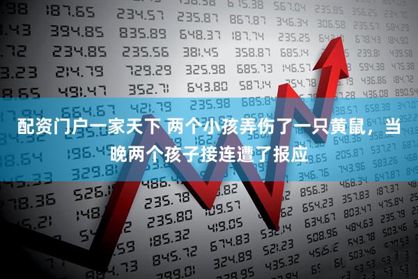 配资门户一家天下 两个小孩弄伤了一只黄鼠，当晚两个孩子接连遭了报应
